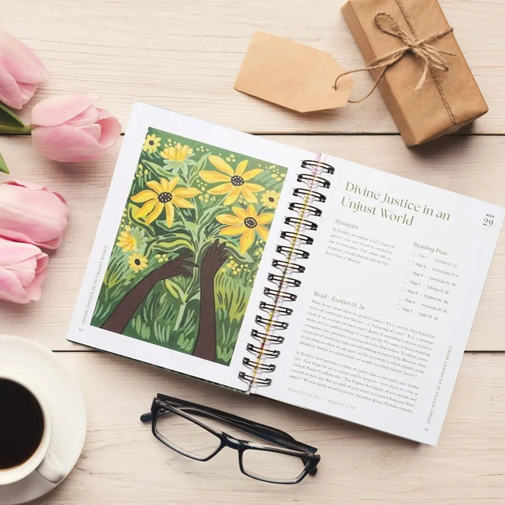 A Beautiful Year in the Bible: The 52-Week Bible Study for Women