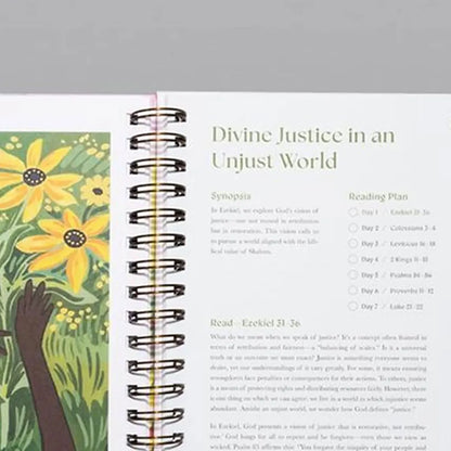 A Beautiful Year in the Bible: The 52-Week Bible Study for Women